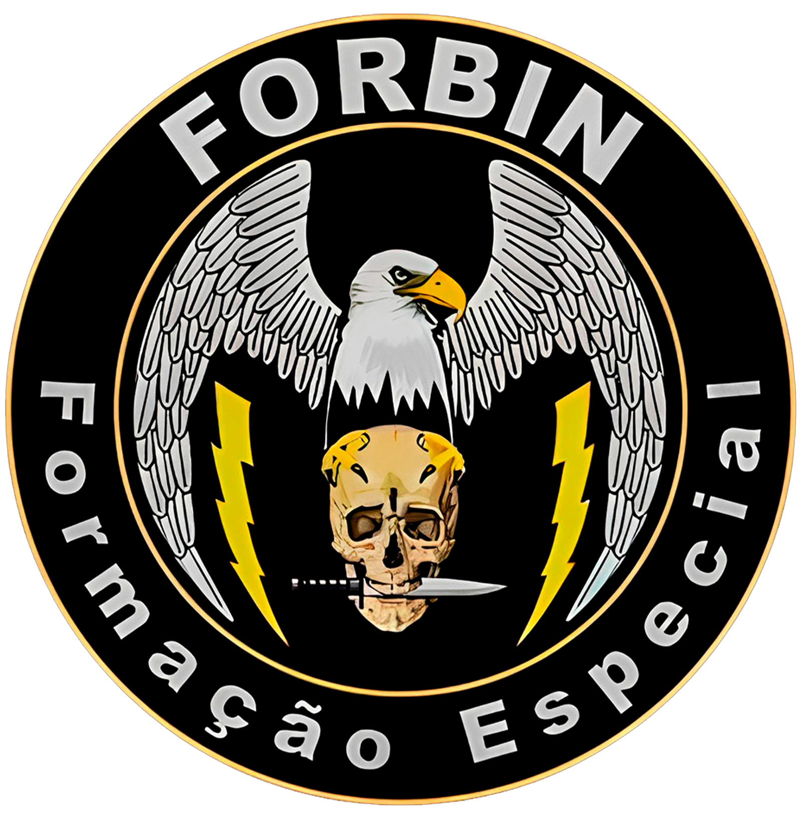 FORBIN - Formação Especial